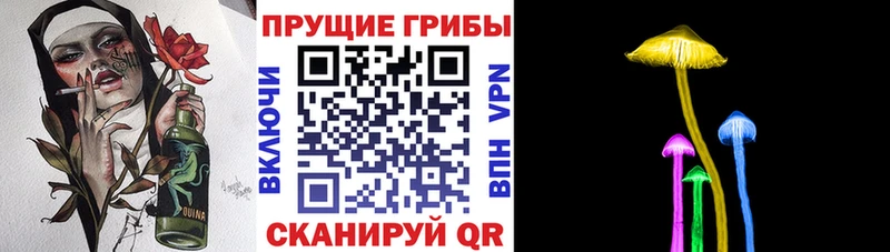Псилоцибиновые грибы ЛСД  ссылка на мегу зеркало  Новотитаровская 